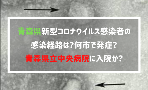 八戸コロナ感染者のスペインツアー旅行会社はjtb 青森県立中央病院に入院か Mahiyu S Blog